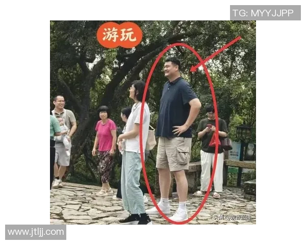 姚明矮半头的背后故事揭示了身高与成功之间的真实关系与误解
