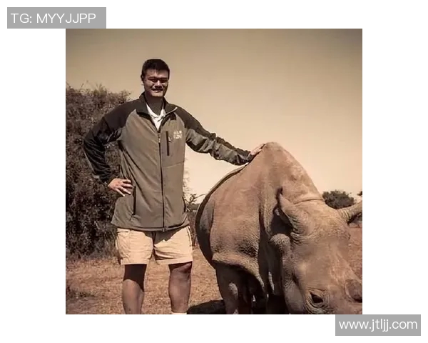 姚明腿围的秘密揭秘他如何在篮球场上展现超凡实力与魅力